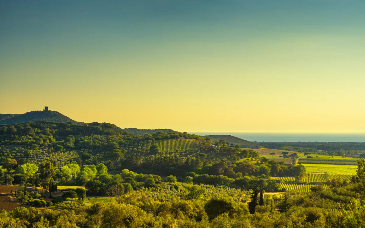 Bolgherello Boutique - Castagneto Carducci