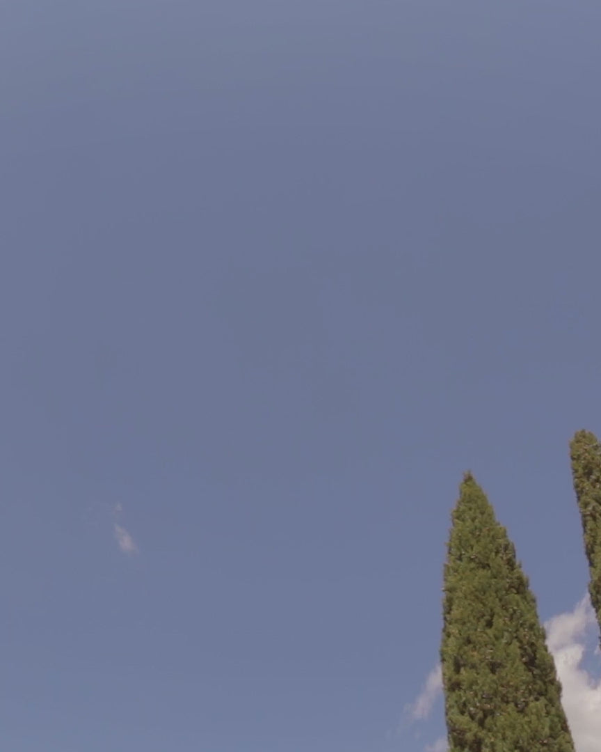 Carica il video: 