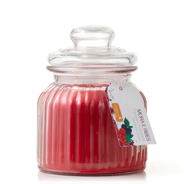 Blackberry and Currant Scented Candle