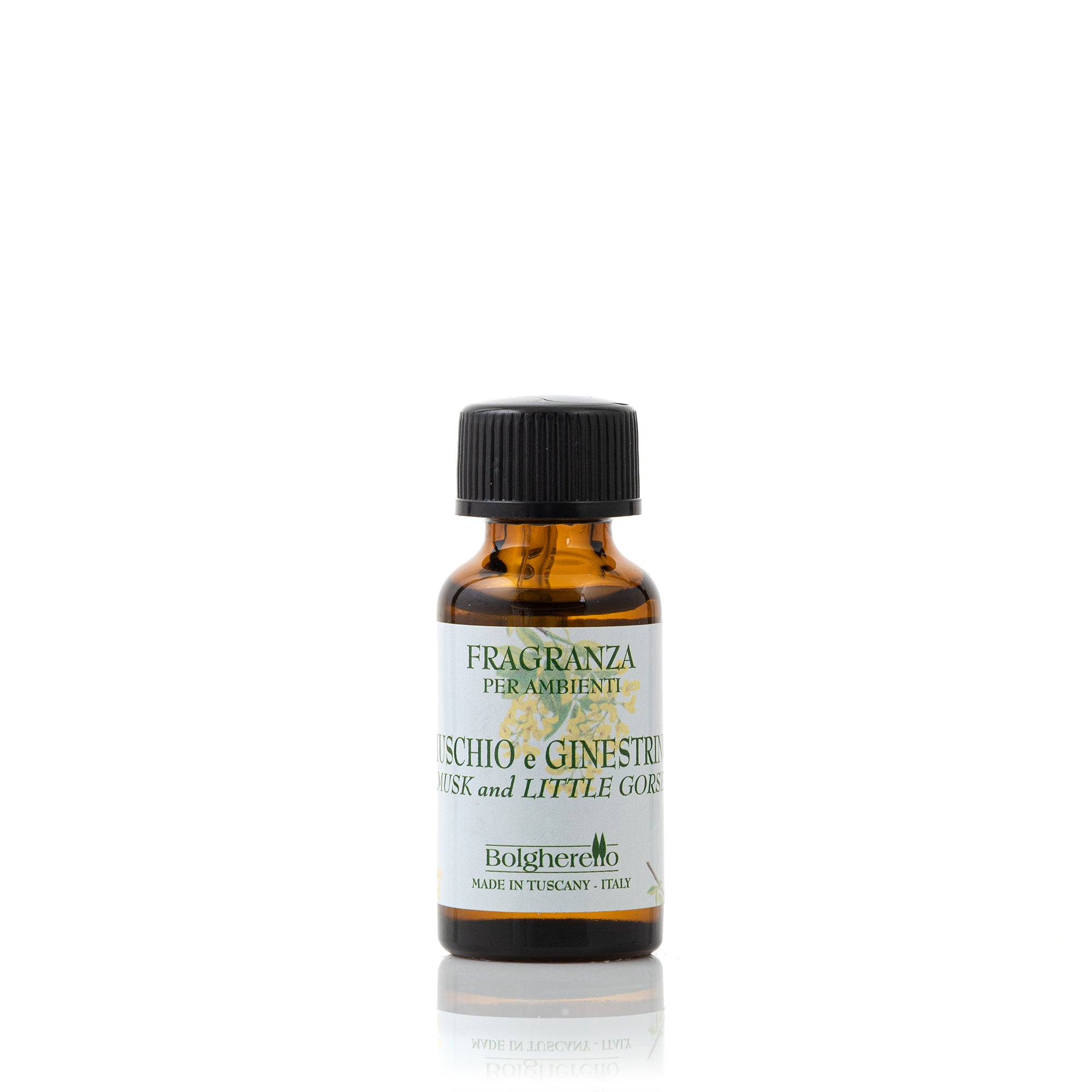 Musk and little gorse Fragrance